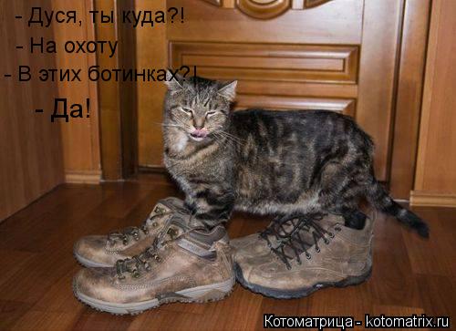 - Дуся, ты куда?! - На охоту - В этих ботинках?! - Да!... Котоматрица: - Дуся, ты куда?! - На охоту - В этих ботинках?! - Да!