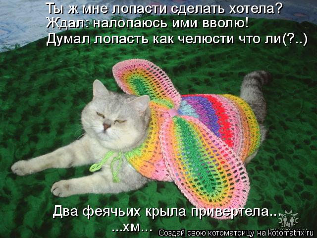 Ждал: налопаюсь ими вволю! Ты ж мне лопасти сделать хотела? Два феячьих крыла привертела... Думал лоп... Котоматрица: Ждал: налопаюсь ими вволю! Ты ж мне лопасти сделать хотела? Два феячьих крыла привертела... Думал лопасть как челюсти что ли(?..) ...хм...