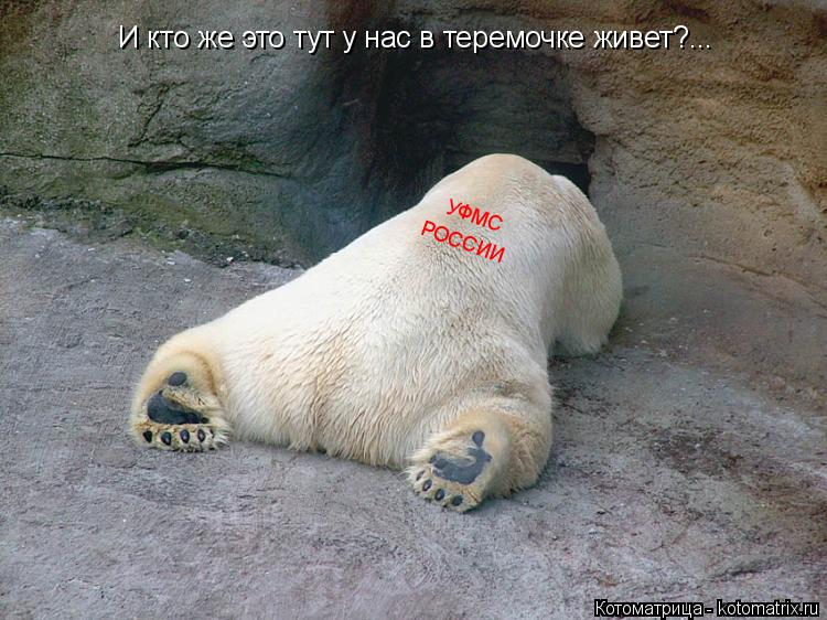 И кто же это тут у нас в теремочке живет?... УФМС РОССИИ... Котоматрица: И кто же это тут у нас в теремочке живет?... УФМС РОССИИ