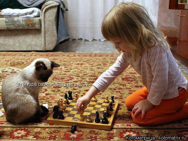 Э!ты куда свою хрень двигаешь?... Котоматрица: Э!ты куда свою хрень двигаешь?