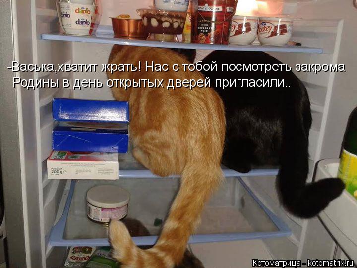-Васька,хватит жрать! Нас с тобой посмотреть закрома Родины в день открытых дверей пригласили..... Котоматрица: -Васька,хватит жрать! Нас с тобой посмотреть закрома Родины в день открытых дверей пригласили..
