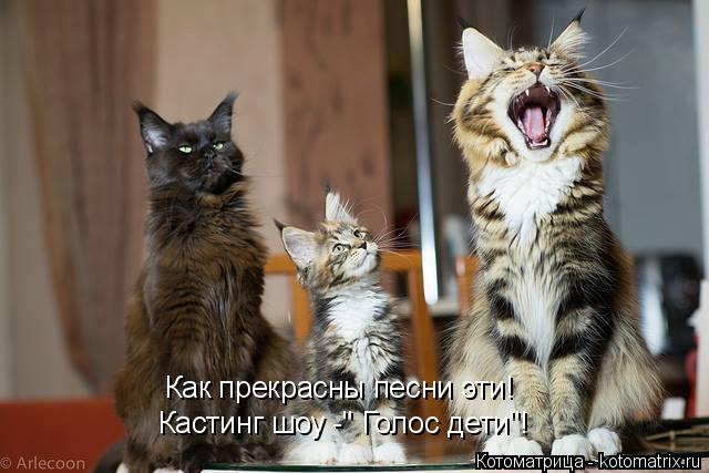 Кастинг шоу -" Голос дети"! Как прекрасны песни эти!... Котоматрица: Кастинг шоу -" Голос дети"! Как прекрасны песни эти!