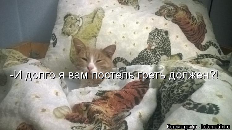 -И долго я вам постель греть должен?!... Котоматрица: -И долго я вам постель греть должен?!