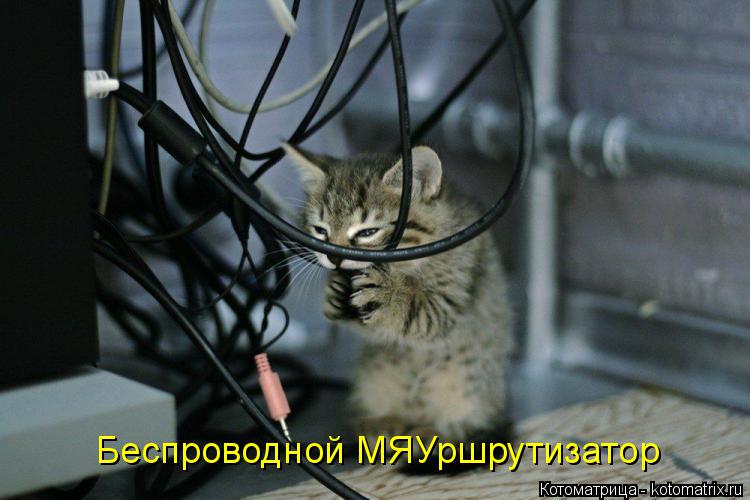 Беспроводной МЯУршрутизатор... Котоматрица: Беспроводной МЯУршрутизатор