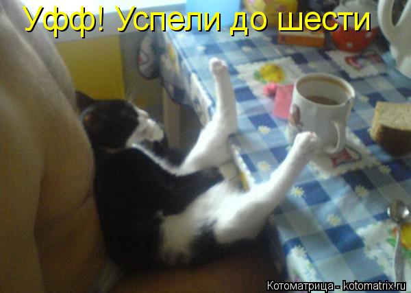 Уфф! Успели до шести... Котоматрица: Уфф! Успели до шести