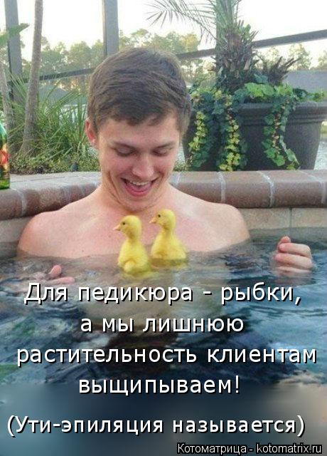 Для педикюра - рыбки, а мы лишнюю растительность клиентам выщипываем! (Ути-эпиляция называется)... Котоматрица: Для педикюра - рыбки, а мы лишнюю растительность клиентам выщипываем! (Ути-эпиляция называется)