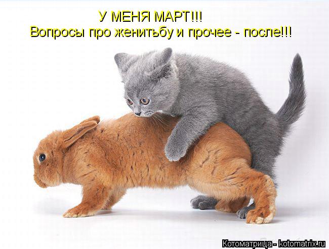 У МЕНЯ МАРТ!!! Вопросы про женитьбу и прочее - после!!!... Котоматрица: У МЕНЯ МАРТ!!! Вопросы про женитьбу и прочее - после!!!