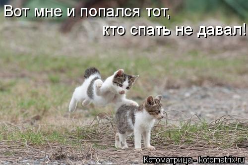 Вот мне и попался тот, кто спать не давал!... Котоматрица: Вот мне и попался тот, кто спать не давал!