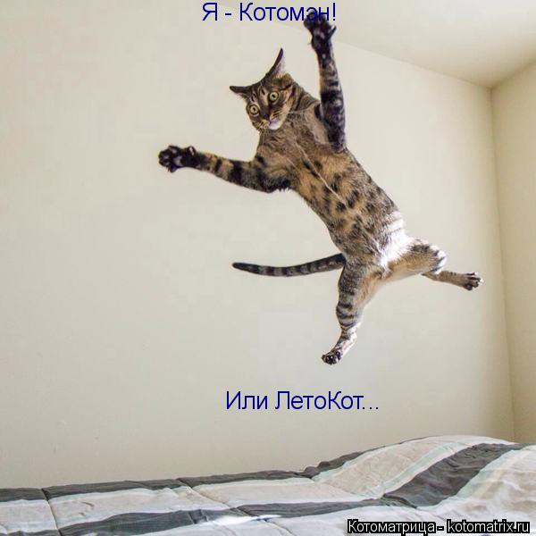 Я - Котомэн! Или ЛетоКот...... Котоматрица: Я - Котомэн! Или ЛетоКот...