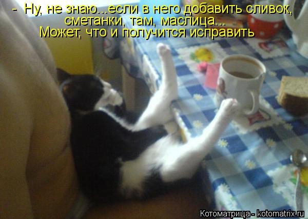 - Ну, не знаю...если в него добавить сливок, сметанки, там, маслица... Может, что и получится испра... Котоматрица: - Ну, не знаю...если в него добавить сливок, сметанки, там, маслица... Может, что и получится исправить