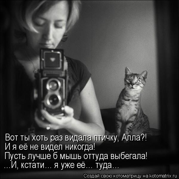 Котоматрица: Вот ты хоть раз видала птичку, Алла?! И я её не видел никогда! Пусть лучше б мышь оттуда выбегала! …И, кстати… я уже её… туда…
