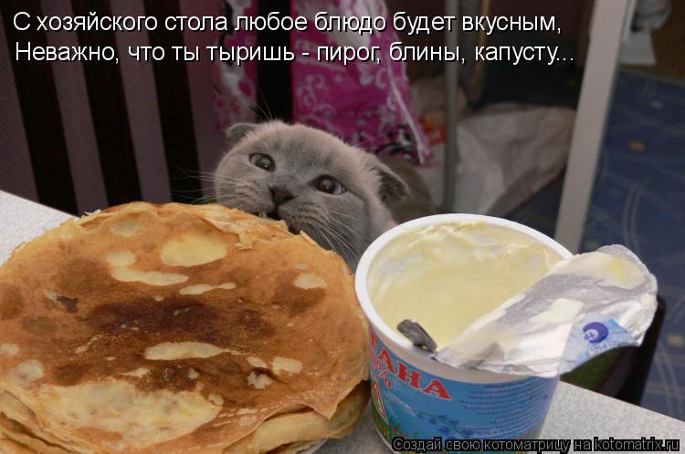 С хозяйского стола любое блюдо будет вкусным, Неважно, что ты тыришь - пирог, блины, капусту...... Котоматрица: С хозяйского стола любое блюдо будет вкусным, Неважно, что ты тыришь - пирог, блины, капусту...