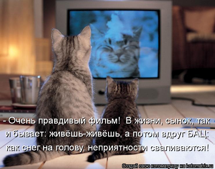 - Очень правдивый фильм! В жизни, сынок, так и бывает: живёшь-живёшь, а потом вдруг БАЦ: как снег на... Котоматрица: - Очень правдивый фильм! В жизни, сынок, так и бывает: живёшь-живёшь, а потом вдруг БАЦ: как снег на голову, неприятности сваливаются!