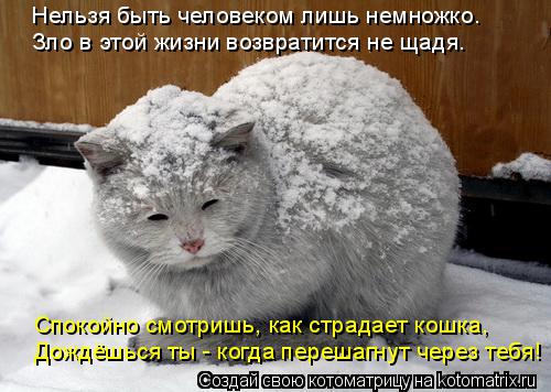Нельзя быть человеком лишь немножко. Зло в этой жизни возвратится не щадя. Спокойно с... Котоматрица: Нельзя быть человеком лишь немножко. Зло в этой жизни возвратится не щадя. Спокойно смотришь, как страдает кошка, Дождёшься ты -