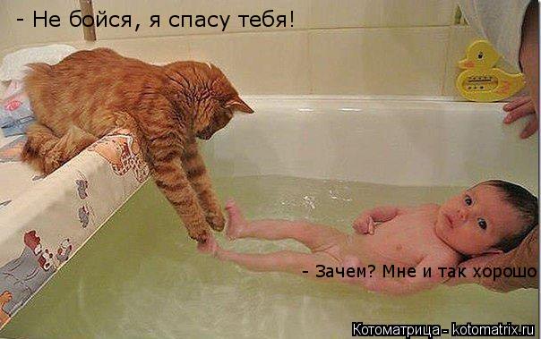 - Не бойся, я спасу тебя! - Зачем? Мне и так хорошо... Котоматрица: - Не бойся, я спасу тебя! - Зачем? Мне и так хорошо