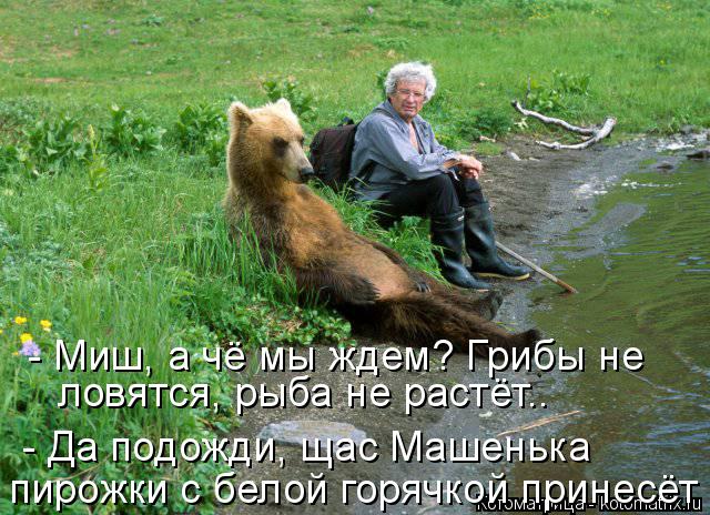 - Миш, а чё мы ждем? Грибы не - Да подожди, щас Машенька пирожки с белой горячкой принесёт ловятся, ... Котоматрица: - Миш, а чё мы ждем? Грибы не - Да подожди, щас Машенька пирожки с белой горячкой принесёт ловятся, рыба не растёт..
