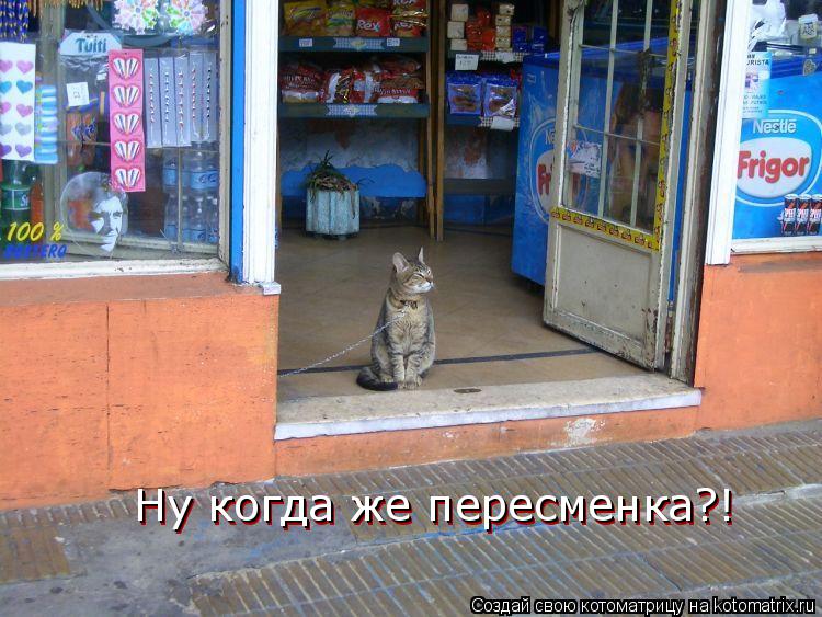 Ну когда же пересменка?! Ну когда же пересменка?!... Котоматрица: Ну когда же пересменка?! Ну когда же пересменка?!