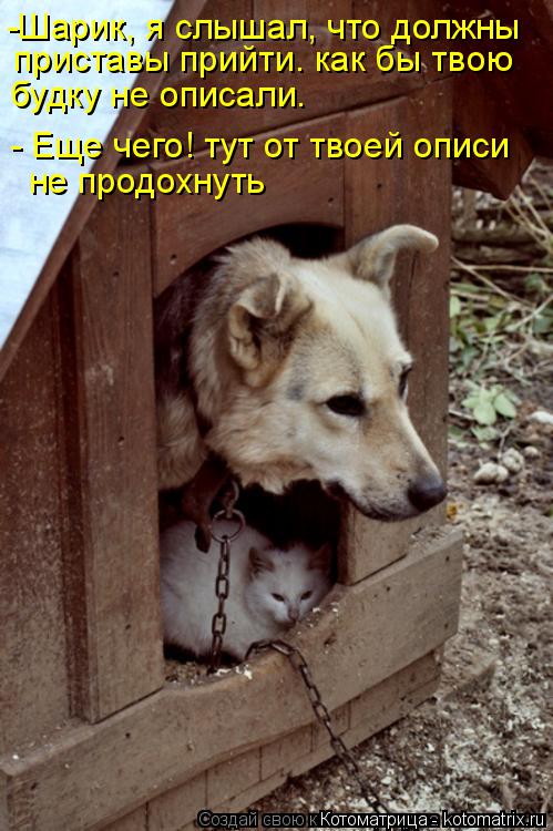 приставы прийти. как бы твою -Шарик, я слышал, что должны будку не описали. - Еще чего! тут от твоей ... Котоматрица: приставы прийти. как бы твою -Шарик, я слышал, что должны будку не описали. - Еще чего! тут от твоей описи не продохнуть