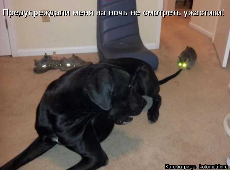 Предупреждали меня на ночь не смотреть ужастики!... Котоматрица: Предупреждали меня на ночь не смотреть ужастики!