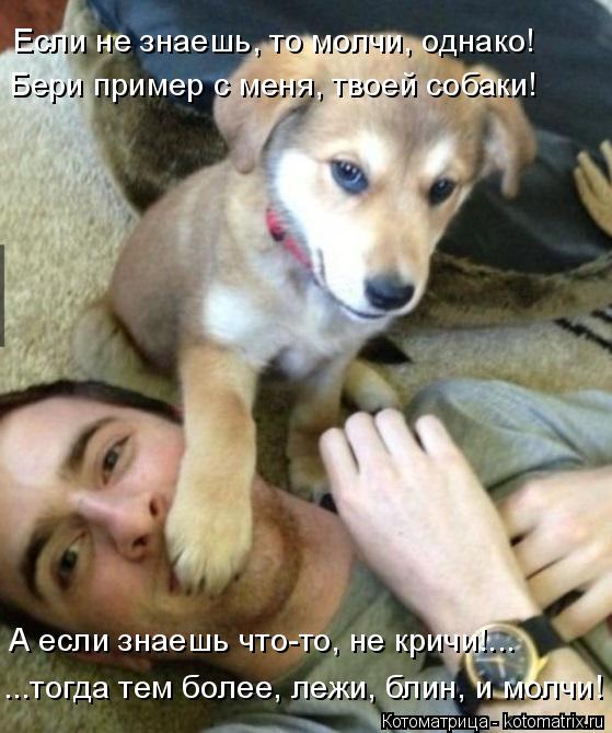 Если не знаешь, то молчи, однако! Бери пример с меня, твоей собаки! А если знаешь что-то, не кричи!..... Котоматрица: Если не знаешь, то молчи, однако! Бери пример с меня, твоей собаки! А если знаешь что-то, не кричи!... ...тогда тем более, лежи, блин, и молчи!
