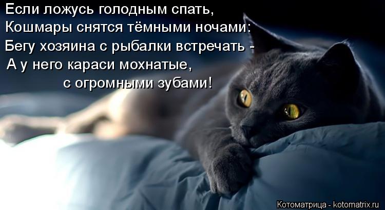 Если ложусь голодным спать, Кошмары снятся тёмными ночами: Бегу хозяина с рыбалки встречать - А у не... Котоматрица: Если ложусь голодным спать, Кошмары снятся тёмными ночами: Бегу хозяина с рыбалки встречать - А у него караси мохнатые, с огромными зубами!