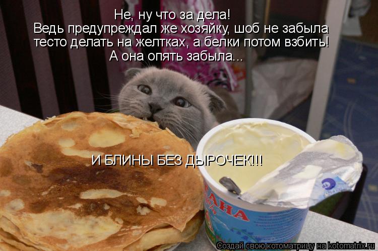 Не, ну что за дела! Ведь предупреждал же хозяйку, шоб не забыла тесто делать на желтках, а белки пото... Котоматрица: Не, ну что за дела! Ведь предупреждал же хозяйку, шоб не забыла тесто делать на желтках, а белки потом взбить! А она опять забыла... И БЛИНЫ БЕЗ