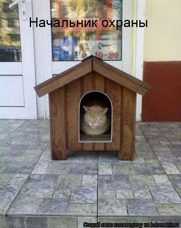 Начальник охраны... Котоматрица: Начальник охраны