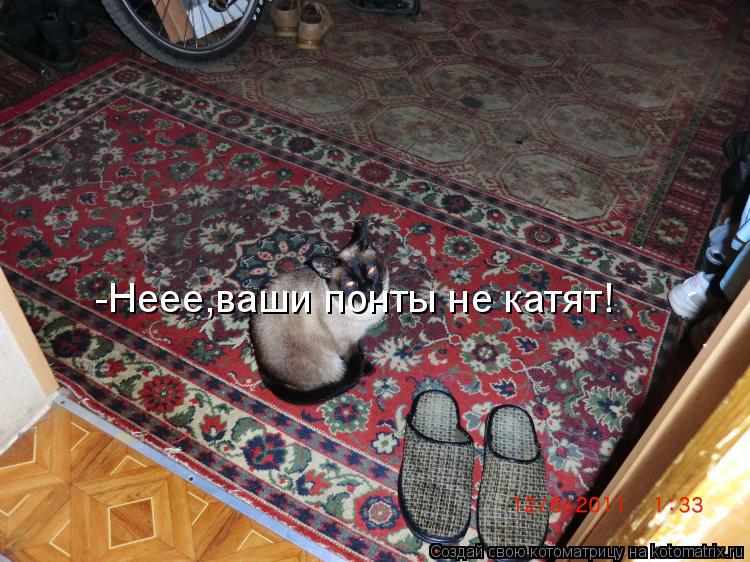 -Неее,ваши понты не катят!... Котоматрица: -Неее,ваши понты не катят!