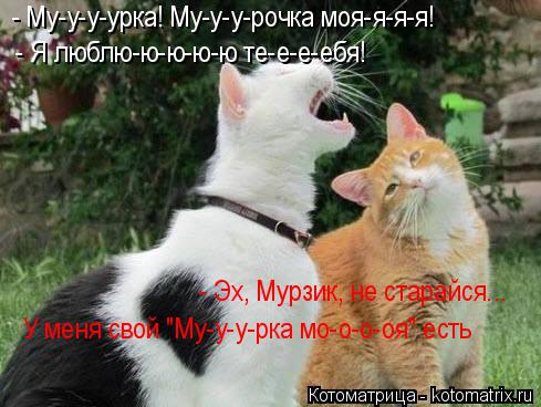 - Му-у-у-урка! Му-у-у-рочка моя-я-я-я! - Я люблю-ю-ю-ю-ю те-е-е-ебя! - Эх, Мурзик, не старайся...... Котоматрица: - Му-у-у-урка! Му-у-у-рочка моя-я-я-я! - Я люблю-ю-ю-ю-ю те-е-е-ебя! - Эх, Мурзик, не старайся... У меня свой "Му-у-у-рка мо-о-о-оя" есть