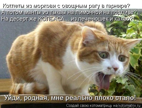 Котоматрица: Котлеты из моркови с овощным рагу в гарнире?  А потом манты из тыквы на лимонной на подливе?.  На десерт же КОЛБАСА... из печенюшек и какао? Уйд