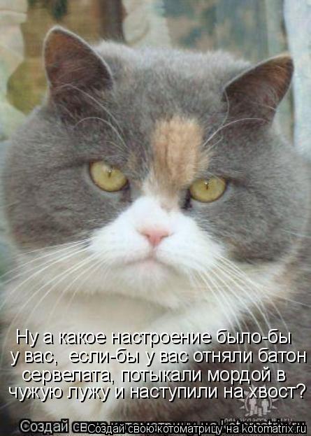 Ну а какое настроение было-бы у вас, если-бы у вас отняли батон сервелата, потыкали мордой в чуж... Котоматрица: Ну а какое настроение было-бы у вас, если-бы у вас отняли батон сервелата, потыкали мордой в чужую лужу и наступили на хвост?
