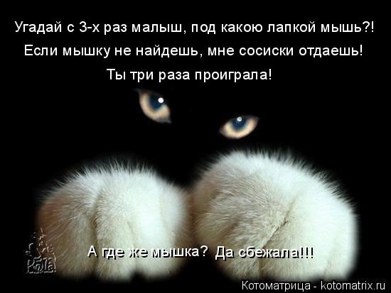 Котоматрица: Угадай с 3-х раз малыш, под какою лапкой мышь?! Если мышку не найдешь, мне сосиски отдаешь! Ты три раза проиграла! А где же мышка? Да сбежала!!!