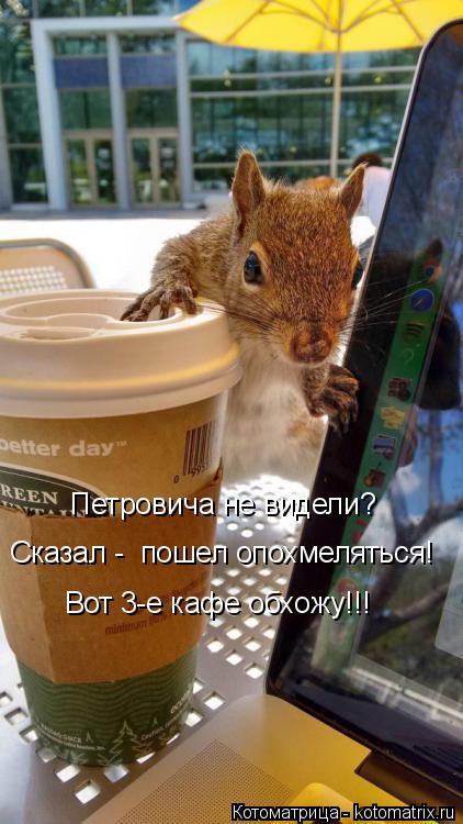Котоматрица: Петровича не видели? Сказал -  пошел опохмеляться! Вот 3-е кафе обхожу!!!