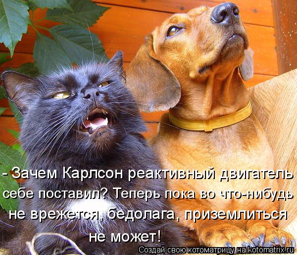 - Зачем Карлсон реактивный двигатель себе поставил? Теперь пока во что-нибудь не врежется, бедолага, ... Котоматрица: - Зачем Карлсон реактивный двигатель себе поставил? Теперь пока во что-нибудь не врежется, бедолага, приземлиться не может!