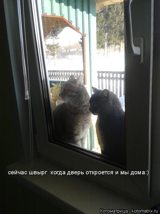 сейчас швырг когда дверь откроется и мы дома:)... Котоматрица: сейчас швырг когда дверь откроется и мы дома:)