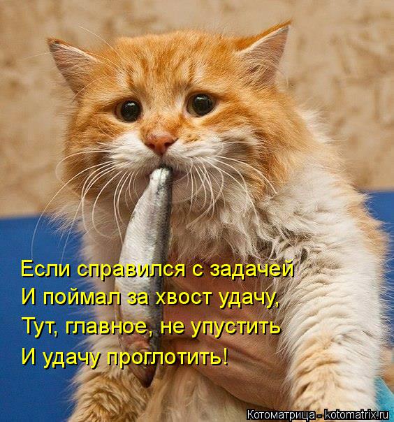 Если справился с задачей И поймал за хвост удачу, Тут, главное, не упустить И удачу проглотить!... Котоматрица: Если справился с задачей И поймал за хвост удачу, Тут, главное, не упустить И удачу проглотить!