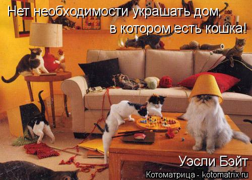 Нет необходимости украшать дом, Нет необходимости украшать дом, в котором есть кошка! Уэсли Бэйт... Котоматрица: Нет необходимости украшать дом, Нет необходимости украшать дом, в котором есть кошка! Уэсли Бэйт