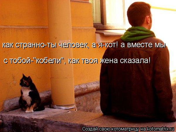 с тобой-"кобели", как твоя жена сказала! как странно-ты человек, а я-кот! а вместе мы... Котоматрица: с тобой-"кобели", как твоя жена сказала! как странно-ты человек, а я-кот! а вместе мы
