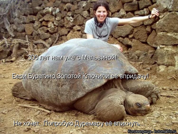 300 лет нам уже с Мальвиной! Бери,Буратино,Золотой Ключик и её впридачу! Не хочет...Попробую Дурема... Котоматрица: 300 лет нам уже с Мальвиной! Бери,Буратино,Золотой Ключик и её впридачу! Не хочет...Попробую Дуремару её впихнуть...