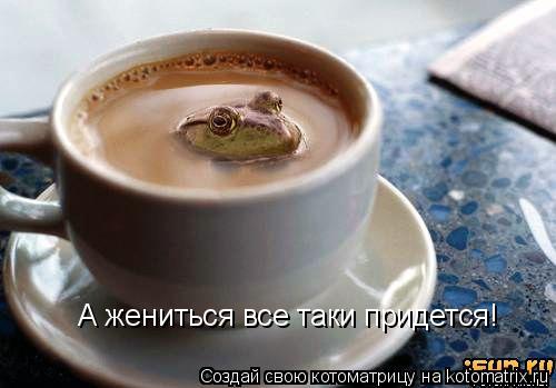 А жениться все таки придется!... Котоматрица: А жениться все таки придется!