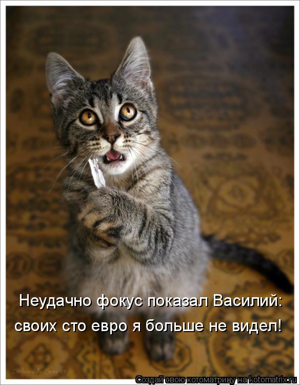 Неудачно фокус показал Василий: своих сто евро я больше не видел!... Котоматрица: Неудачно фокус показал Василий: своих сто евро я больше не видел!