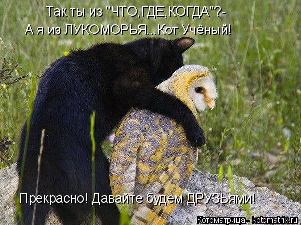 Так ты из "ЧТО,ГДЕ,КОГДА"?- А я из ЛУКОМОРЬЯ...Кот Учёный! Прекрасно! Давайте будем ДРУЗЬями!... Котоматрица: Так ты из "ЧТО,ГДЕ,КОГДА"?- А я из ЛУКОМОРЬЯ...Кот Учёный! Прекрасно! Давайте будем ДРУЗЬями!