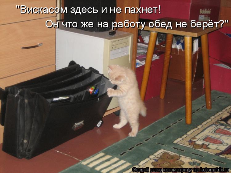 "Вискасом здесь и не пахнет! Он что же на работу обед не берёт?"... Котоматрица: "Вискасом здесь и не пахнет! Он что же на работу обед не берёт?"