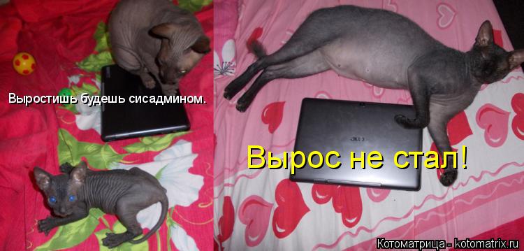 Выростишь будешь сисадмином. Вырос не стал!... Котоматрица: Выростишь будешь сисадмином. Вырос не стал!