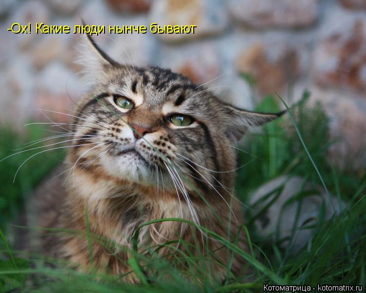 Котоматрица: -Ох! Какие люди нынче бывают