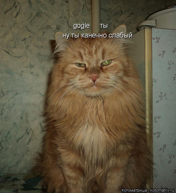 gogle ты ну ты канечно слабый... Котоматрица: gogle ты ну ты канечно слабый