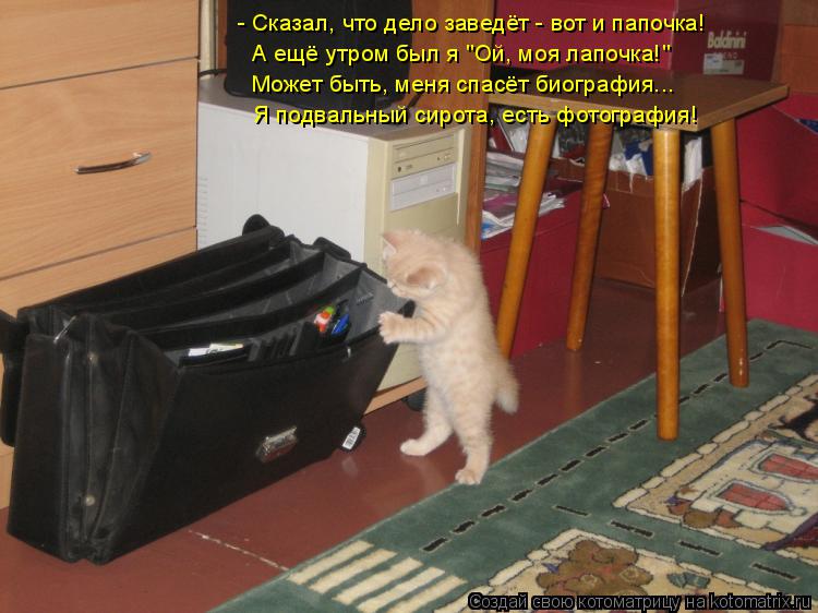 - Сказал, что дело заведёт - вот и папочка! А ещё утром был я "Ой, моя лапочка!" Может быть, меня спа... Котоматрица: - Сказал, что дело заведёт - вот и папочка! А ещё утром был я "Ой, моя лапочка!" Может быть, меня спасёт биография... Я подвальный сирота, есть фот