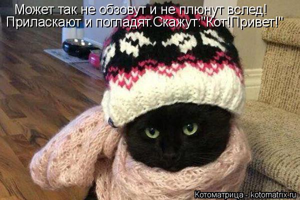 Может так не обзовут и не плюнут вслед! Приласкают и погладят.Скажут:"Кот!Привет!"... Котоматрица: Может так не обзовут и не плюнут вслед! Приласкают и погладят.Скажут:"Кот!Привет!"