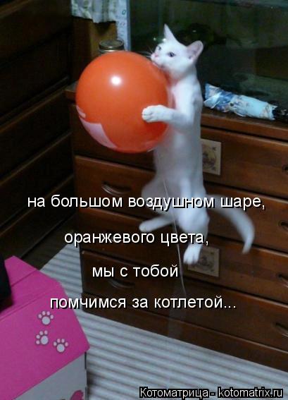 на большом воздушном шаре, оранжевого цвета, мы с тобой помчимся за котлетой...... Котоматрица: на большом воздушном шаре, оранжевого цвета, мы с тобой помчимся за котлетой...