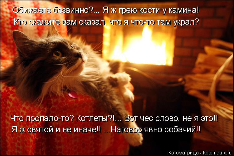 Обижаете безвинно?... Я ж грею кости у камина! Кто скажите вам сказал, что я что-то там украл? Что пр... Котоматрица: Обижаете безвинно?... Я ж грею кости у камина! Кто скажите вам сказал, что я что-то там украл? Что пропало-то? Котлеты?!... Вот чес слово, не я это!!